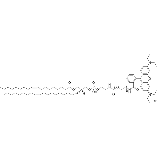 DOPE-PEG-Rhodamine B (MW 2000)